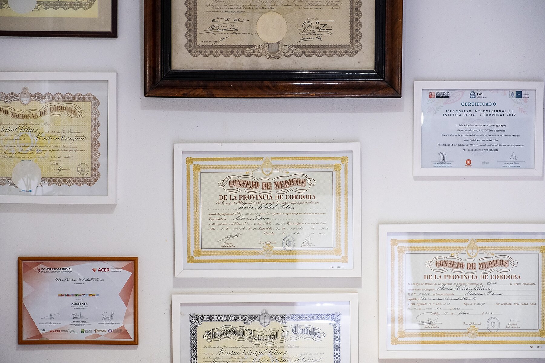 Certificados y matrículas de la Dra. Peláez